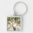 Search for spirit tree key rings Forest