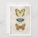 Search for butterfly collage invitations Butterflies