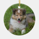 Search for rough collie christmas tree decorations Pet