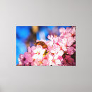 Search for pink cherry blossom canvas prints Nature