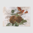 Search for bird tissue paper Music