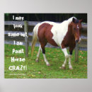 Search for pasture posters Pinto