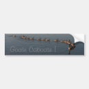 Search for goose bumper stickers Geese