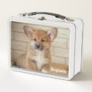 Search for corgi lunch boxes Animal