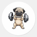 Search for funny weight lifting stickers Exercise