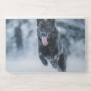 Search for wolf samsung galaxy s8 cases dog