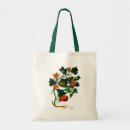 Search for squash bags Vegetable