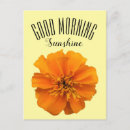 Search for sunshine postcards Happy
