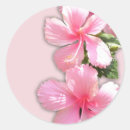 Search for hibiscus photo stickers Tropical