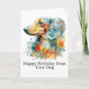 Search for doxies cards Pet