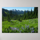 Search for cascade range posters Landscape