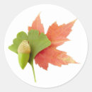 Search for ginkgo stickers Tree