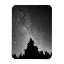 Search for tree landscape magnets Stars