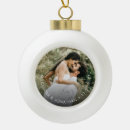 Search for girlfriend christmas tree decorations Elegant