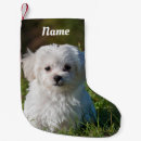 Search for maltese christmas stockings Pet
