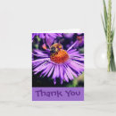 Search for aster flower cards Bee