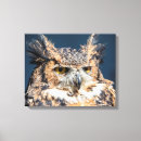 Search for owl painting canvas prints Portrait