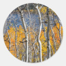 Search for aspen grove stickers Autumn