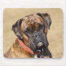 Search for boxer dogs mouse mats Brindle