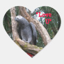 Search for african grey stickers Wildlife