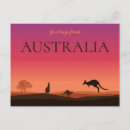 Search for kangaroo postcards Souvenir