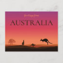 Search for kangaroos postcards Souvenir