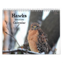 Search for raptor photography Hawks