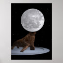 Search for balancing posters Funny