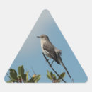 Search for mockingbird stickers Wildlife