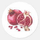 Search for pomegranate fruit stickers Pink