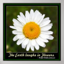 Search for waldo posters Flower