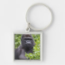 Search for silverback gorilla key rings Mammal