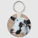 Search for curious key rings Farm