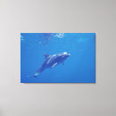 Search for habitat canvas prints Sea