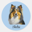 Search for sheltie dog stickers Pet