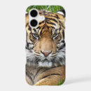 Search for sumatran electronics Feline
