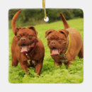 Search for dogue de bordeaux christmas tree decorations Mastiff