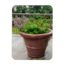 Search for horticultural magnets Gardening