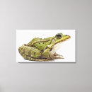 Search for blooded art Animal