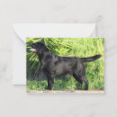 Search for black labrador note cards Pet