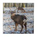 Search for deer antlers tiles Stag