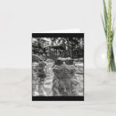 Search for bearded dragon cards Nature
