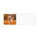 Search for golden retrievers return address labels Puppy