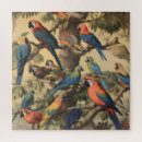 Search for parrot puzzles Exotic