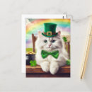 Search for cute cat postcards Rainbow