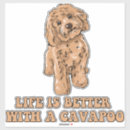 Search for pug life stickers Weimaraner