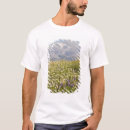 Search for mt baker Usa
