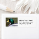 Search for male return address labels Animal