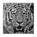 Search for tiger face tiles Wild animals