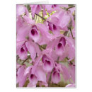 Search for fragrant Botanical
